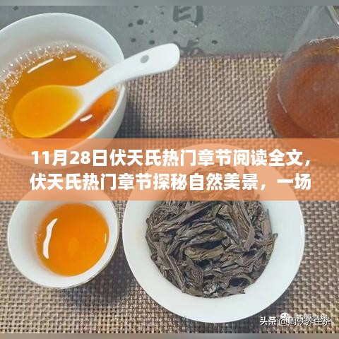 伏天氏热门章节探秘自然美景，寻找内心平静的奇妙旅行