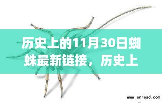 产品展示 第424页