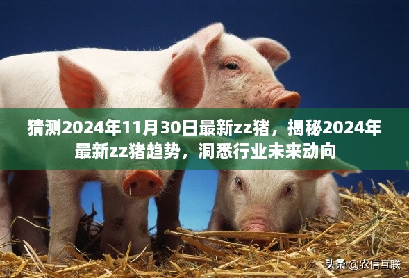 admin 第21页