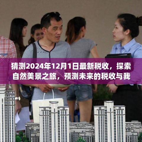 未来税收概览与心灵宁静之旅，2024年税收预测与探索自然美景