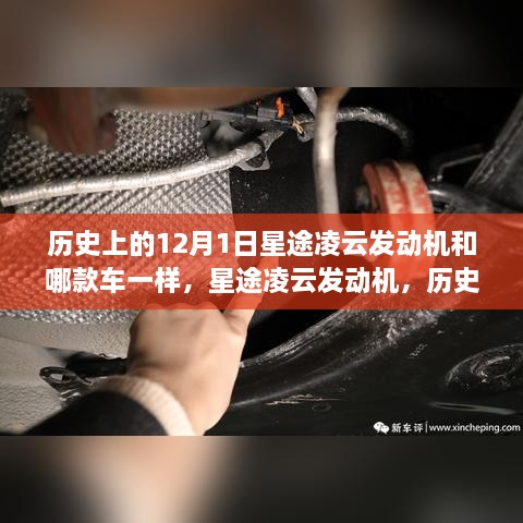 初告白 第18页
