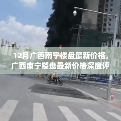 花开无言 第15页