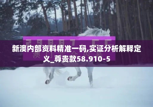 新澳内部资料精准一码,实证分析解释定义_尊贵款58.910-5