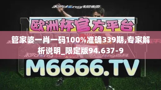 管家婆一肖一码100%准确339期,专家解析说明_限定版94.637-9