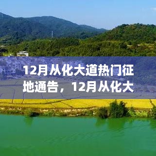 lingxingjinzhi 第15页