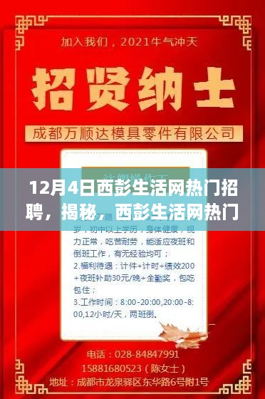 花开无言 第14页