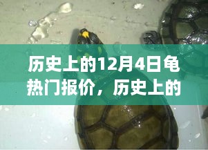 揭秘历史龟价波动，深度解析十二月四日热门报价背后的故事