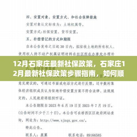 石家庄12月社保政策详解，步骤指南与办理要点