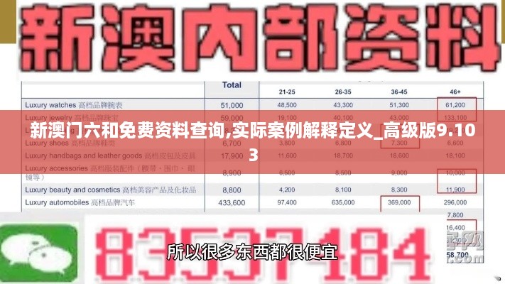 新澳门六和免费资料查询,实际案例解释定义_高级版9.103