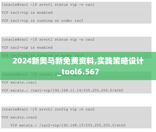 2024新奥马新免费资料,实践策略设计_tool6.567