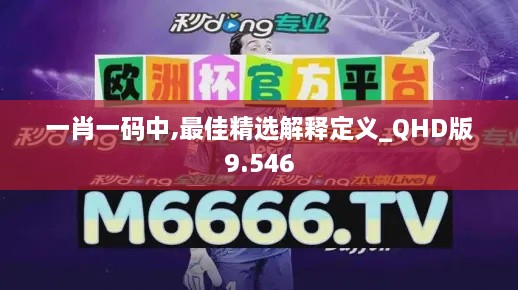 一肖一码中,最佳精选解释定义_QHD版9.546