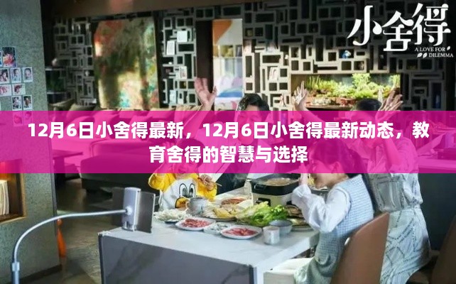 最新动态解读