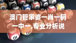 澳门管家婆一肖一码一中一,专业分析说明_WP1.274