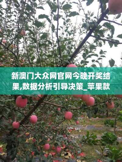 zhaofeimujuan 第13页