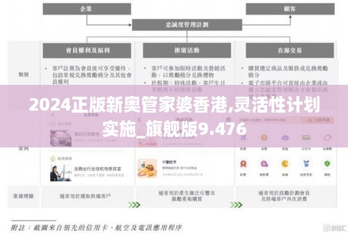 2024正版新奥管家婆香港,灵活性计划实施_旗舰版9.476