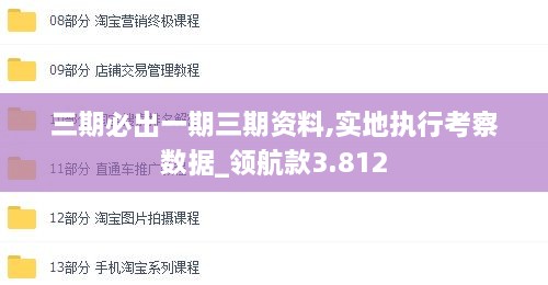三期必出一期三期资料,实地执行考察数据_领航款3.812