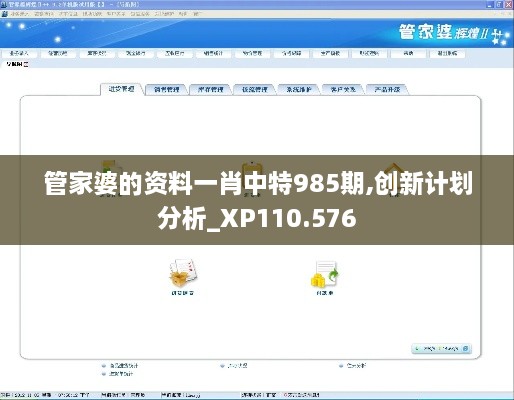 管家婆的资料一肖中特985期,创新计划分析_XP110.576