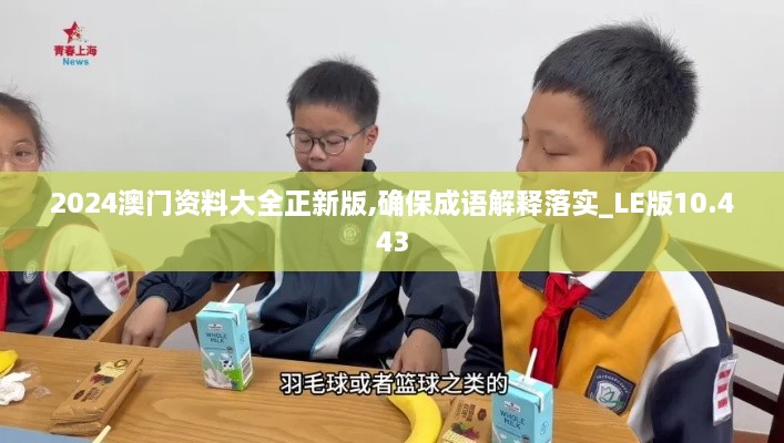 2024澳门资料大全正新版,确保成语解释落实_LE版10.443