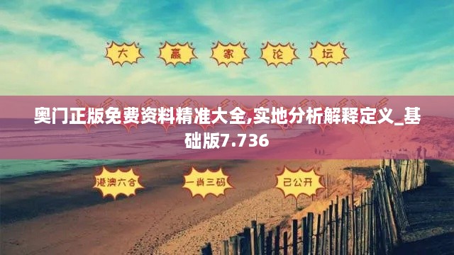 奥门正版免费资料精准大全,实地分析解释定义_基础版7.736