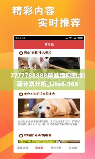 7777788888精准跑狗图,创新计划分析_Lite6.966