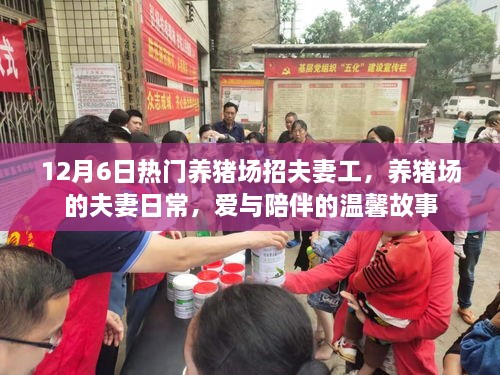 养猪场的夫妻日常，爱与陪伴的温馨故事在行动