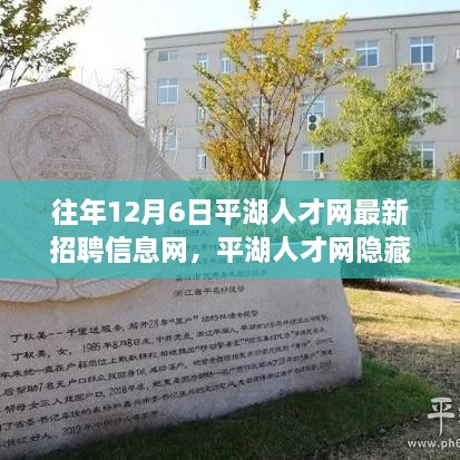 关于我们 第311页