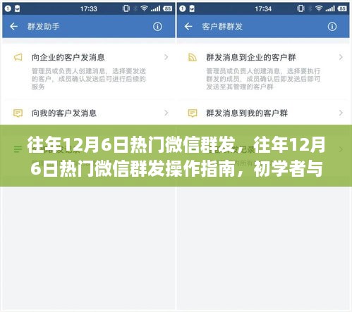 往年12月6日热门微信群发操作指南，初学者与进阶用户通用攻略