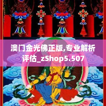 jinshiweikai 第13页