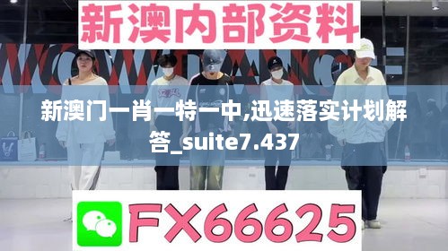 新澳门一肖一特一中,迅速落实计划解答_suite7.437