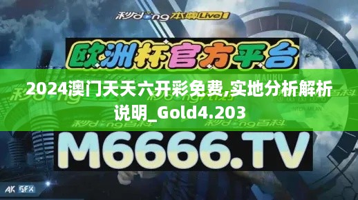 2024澳门天天六开彩免费,实地分析解析说明_Gold4.203