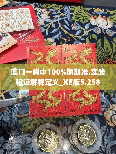 澳门一肖中100%期期准,实践验证解释定义_XE版5.258