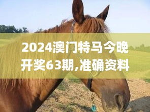 2024澳门特马今晚开奖63期,准确资料解释落实_潮流版4.993