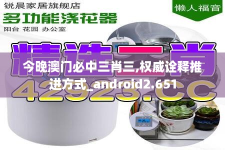今晚澳门必中三肖三,权威诠释推进方式_android2.651