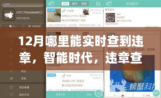 智能时代下的实时违章查询，APP引领新潮流，轻松掌握违章信息