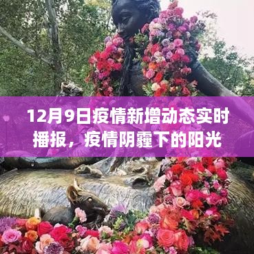 疫情阴霾下的阳光角落，自然美景治愈之旅的实时播报