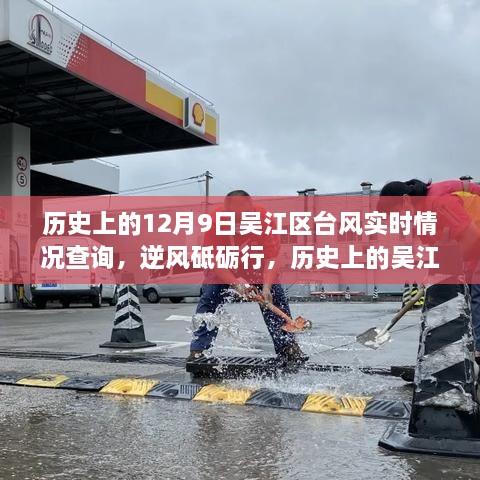 历史上的吴江区台风与自我成长，逆风砥砺行，实时查询与回顾分析