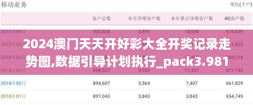 2024澳门天天开好彩大全开奖记录走势图,数据引导计划执行_pack3.981