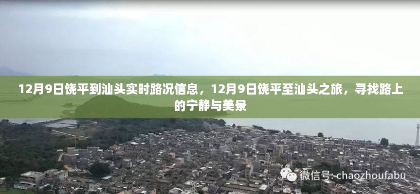 jingjingyeye 第13页