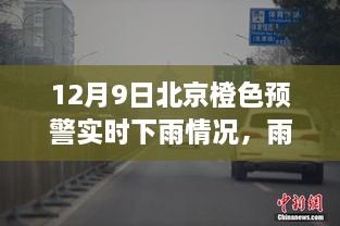 北京橙色预警下的雨中奇遇，小巷的秘密与惊喜邂逅