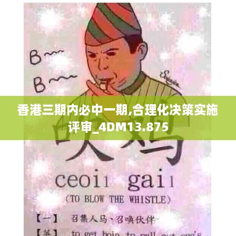 香港三期内必中一期,合理化决策实施评审_4DM13.875