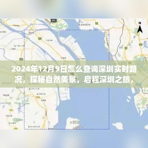 深圳实时路况查询指南，启程深圳之旅，掌握黄金时刻路况探秘自然美景
