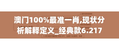 澳门100%最准一肖,现状分析解释定义_经典款6.217