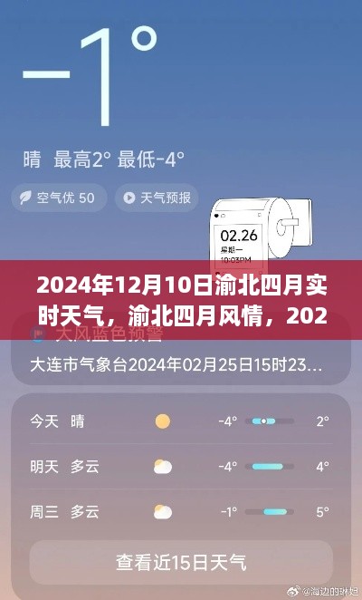 渝北四月风情，小红书带你领略2024年12月10日实时天气魅力