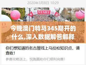 今晚澳门特马345期开的什么,深入数据解答解释落实_精英款3.138