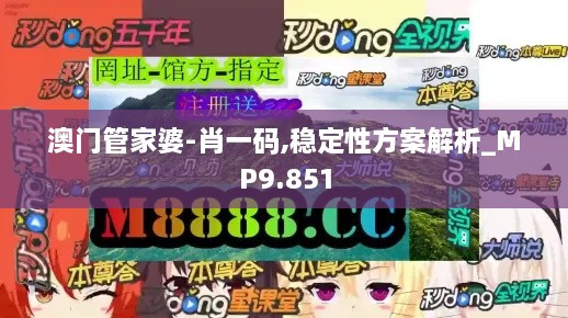 澳门管家婆-肖一码,稳定性方案解析_MP9.851