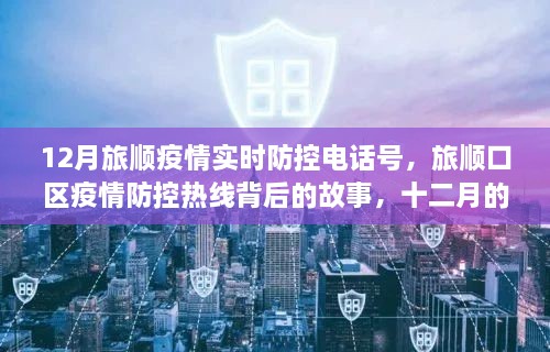 旅顺口区疫情防控热线背后的坚守与希望，十二月实时防控电话号的故事