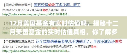 揭秘十二月美国基金的实时估值真相，你知道吗？