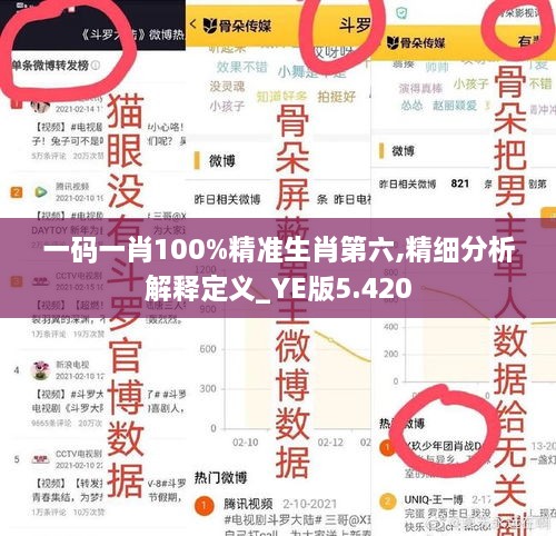 一码一肖100%精准生肖第六,精细分析解释定义_YE版5.420