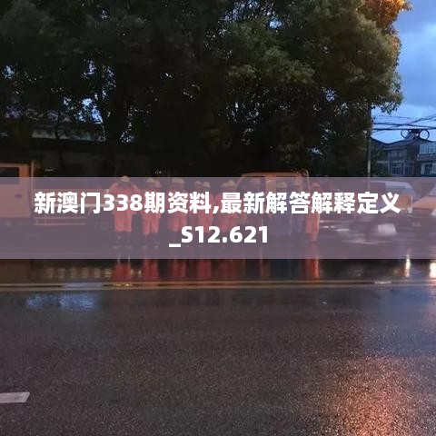 新澳门338期资料,最新解答解释定义_S12.621