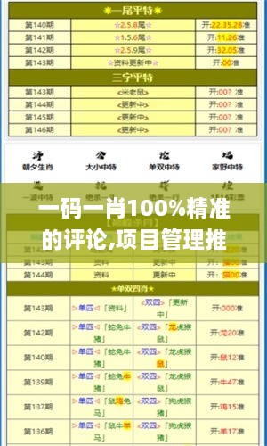 一码一肖100%精准的评论,项目管理推进方案_Chromebook5.306